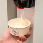 フローズンヨーグルト